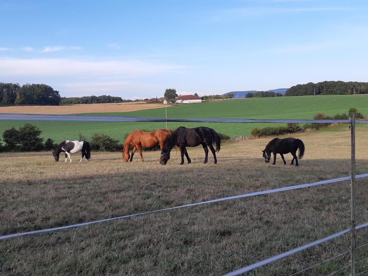 Gites Domaine De La Rochere Domsure Exteriör bild