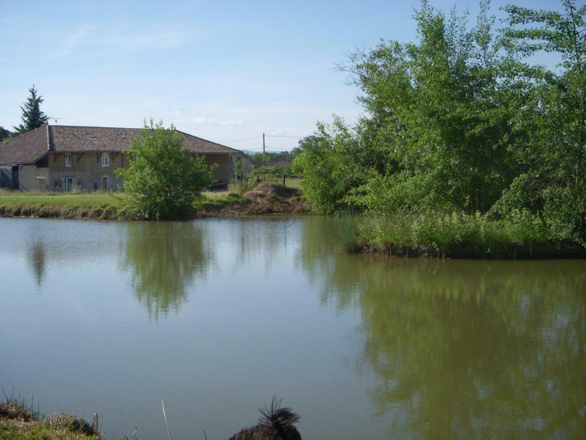 Gites Domaine De La Rochere Domsure Exteriör bild